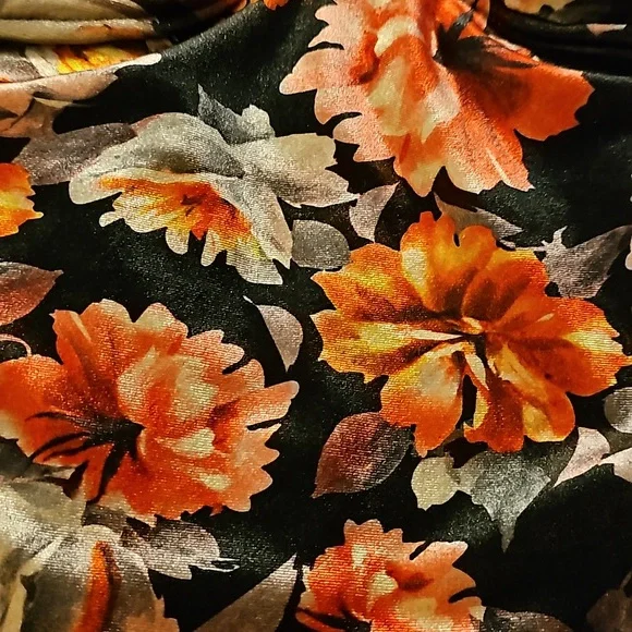 Torrid Sexy-Velvet Floral ZipUp Corset NWT $48 Size 2 - Picture 3 of 9